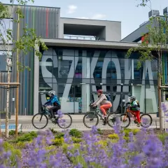 Ile placówek oświatowych w Polsce? Pełne dane i struktura 2024/25