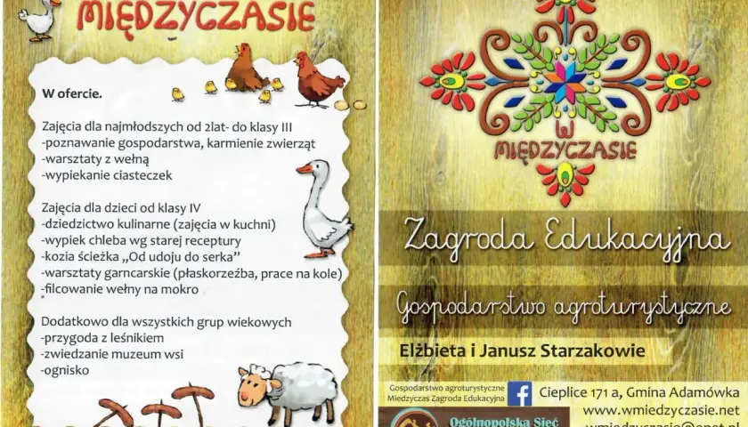 Zagroda edukacyjna: jak założyć i zarabiać? Kompletny przewodnik