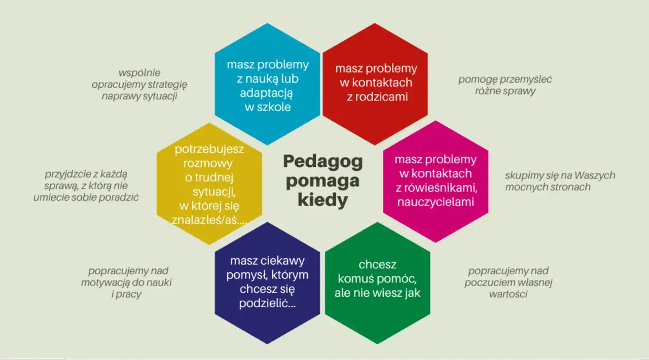 zadania pedagoga szkolnego schemat