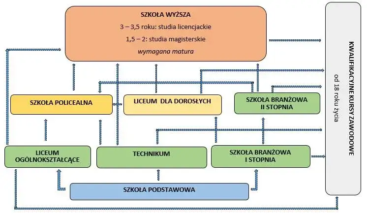 Infografika struktura systemu oświaty w Polsce rodzaje placówek