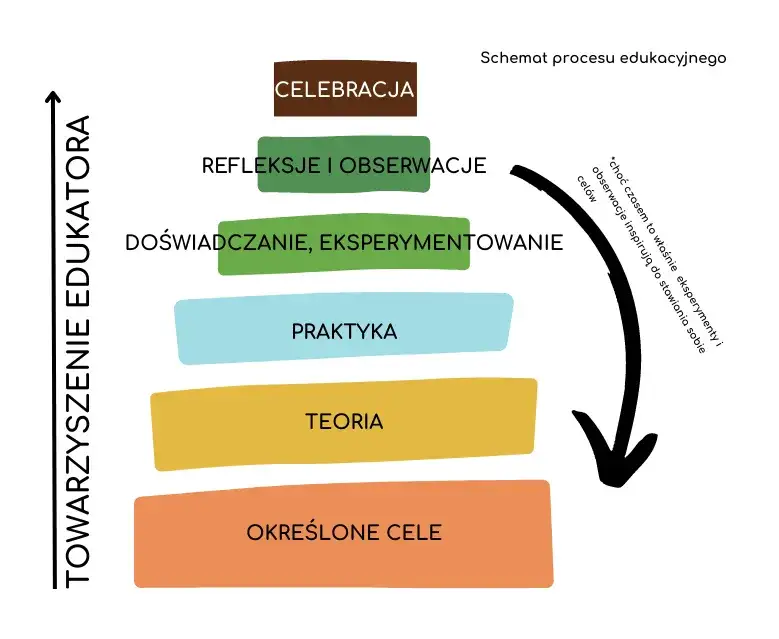 elementy procesu edukacyjnego schemat